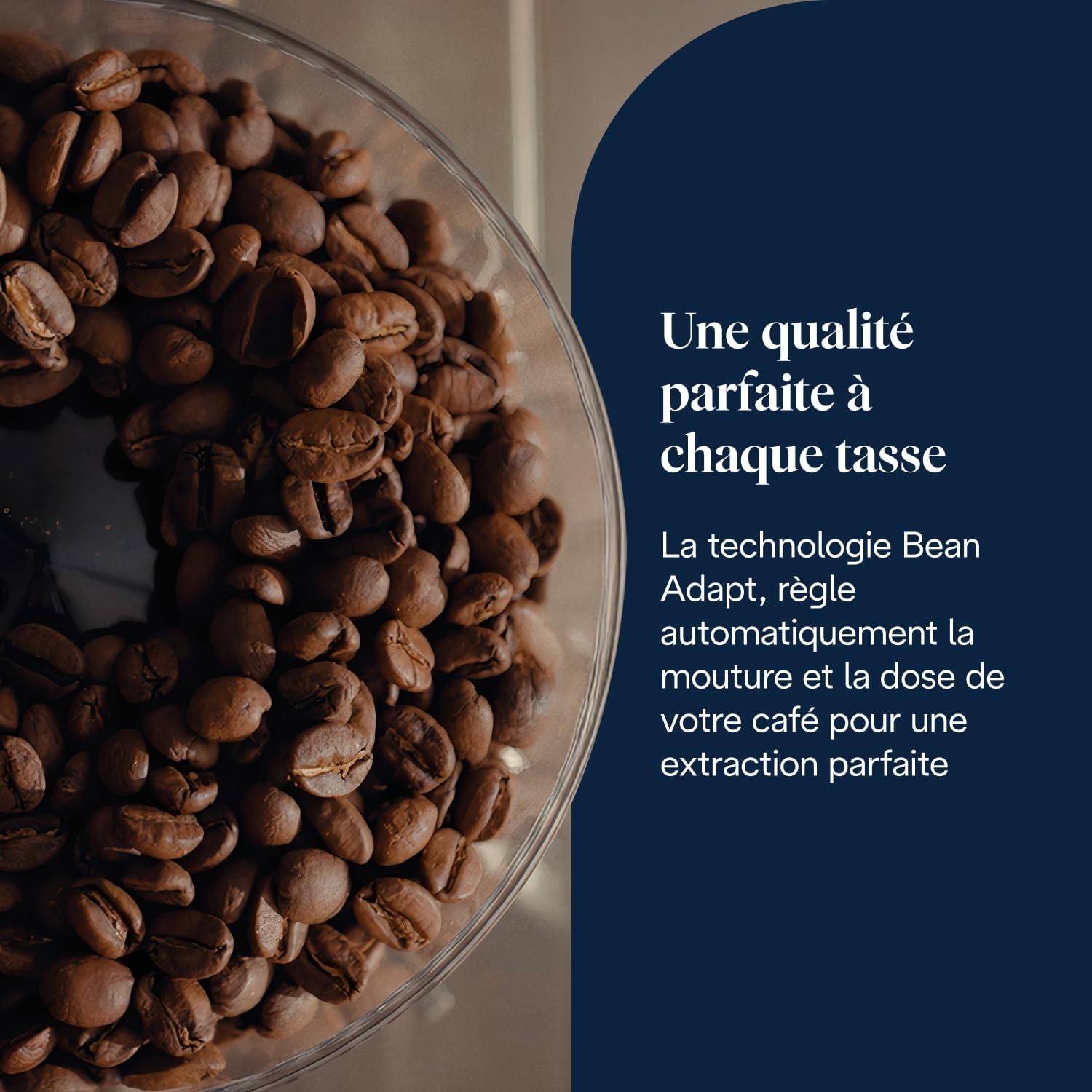 TechCaffe La Specialista Touch Machine à expresso avec moulin à café, fonction Cold Brew, métal