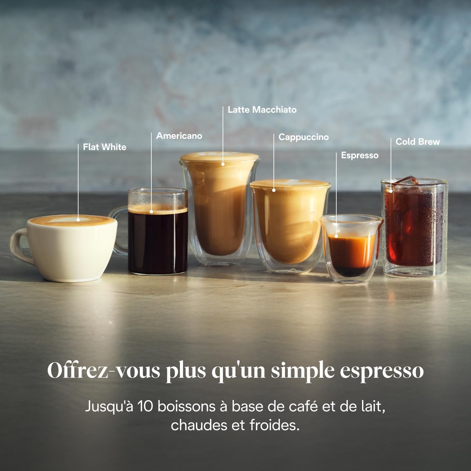 TechCaffe La Specialista Touch Machine à expresso avec moulin à café, fonction Cold Brew, métal